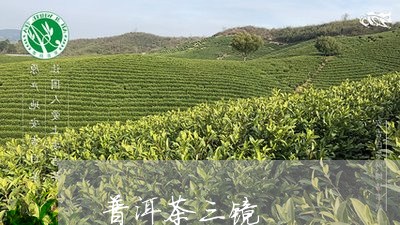 普洱茶三镜/2023102584957