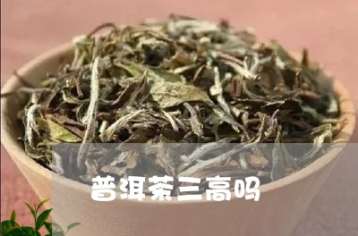 普洱茶三高吗/2023090626250