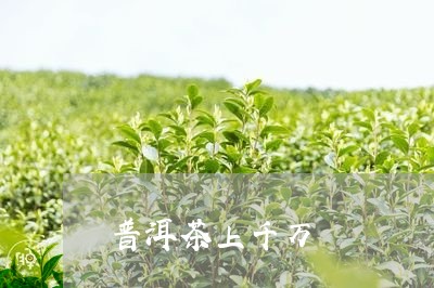 普洱茶上千万/2023042645713