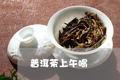 普洱茶上午喝/2023042987136