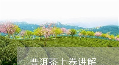 普洱茶上卷讲解/2023120338383