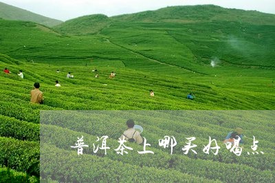 普洱茶上哪买好喝点/2023121682820