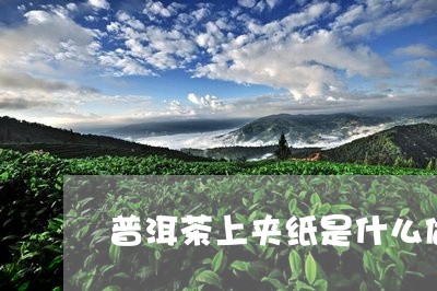 普洱茶上夹纸是什么做的/2023112771514