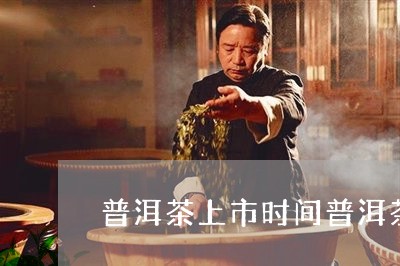 普洱茶上市时间普洱茶种植视频/2023053075047