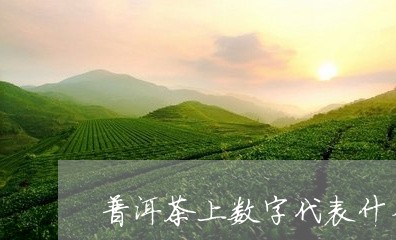 普洱茶上数字代表什么/2023062428279