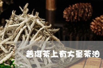 普洱茶上有大量茶油/2023111065836