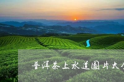 普洱茶上水道图片大全图/2023082920382