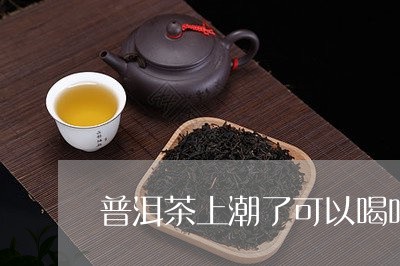 普洱茶上潮了可以喝吗/2023062150594