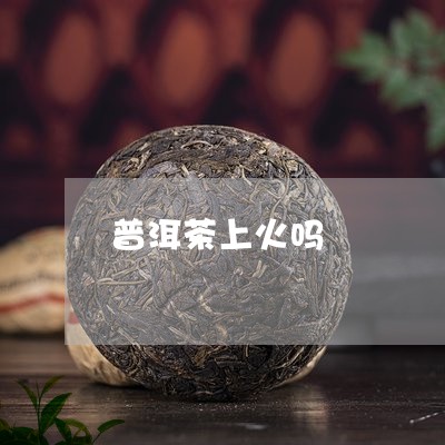 普洱茶上火吗/2023042999589