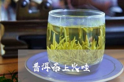 普洱茶上火哇/2023042661425