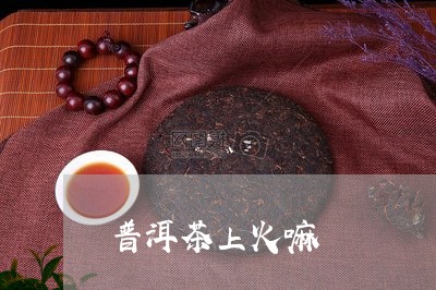 普洱茶上火嘛/2023042707349