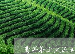 普洱茶上火还是降火的/2023080177048