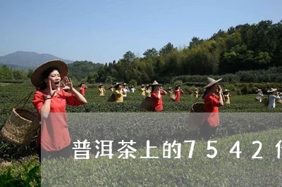 普洱茶上的7542代表什么/2023052795941