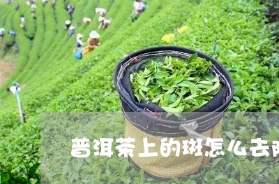 普洱茶上的斑怎么去除/2023092865939