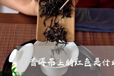 普洱茶上的红色是什么/2023063060625