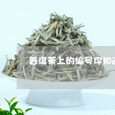 普洱茶上的编号你知道吗/2023110669382