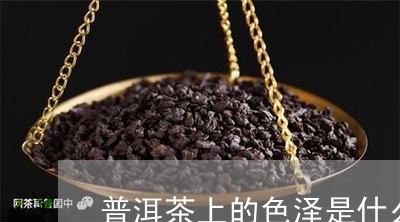 普洱茶上的色泽是什么/2023112409373