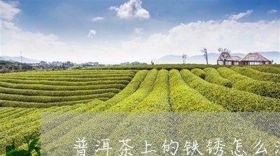 普洱茶上的铁锈怎么清洗/2023122045269