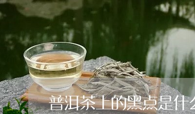 普洱茶上的黑点是什么/2023092866260