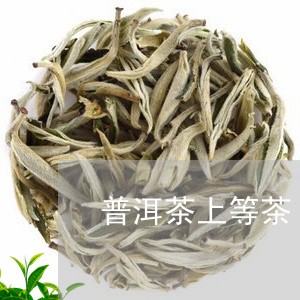 普洱茶上等茶/2023042893728