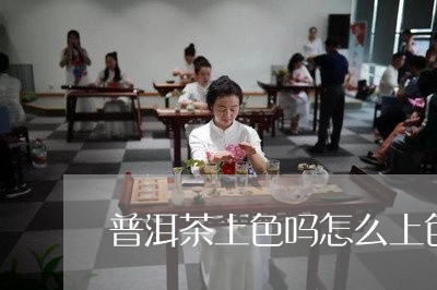 普洱茶上色吗怎么上色好/2023082486157