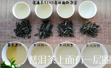 普洱茶上面有一层圈印子/2023050420583