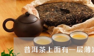 普洱茶上面有一层薄油/2023061476161