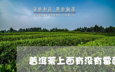 普洱茶上面有没有霉菌/2023062394036