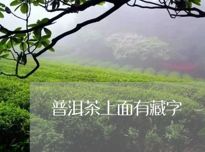 普洱茶上面有藏字/2023120480614