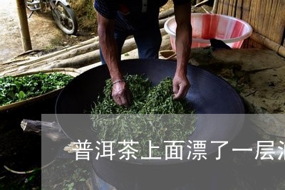 普洱茶上面漂了一层油层/2023112855505