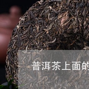 普洱茶上面的4个数字/2023061624835