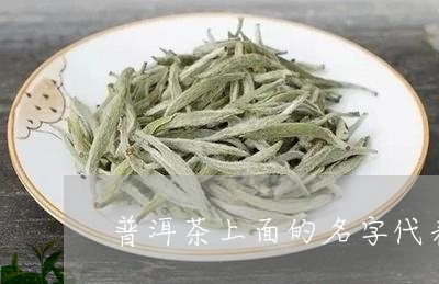 普洱茶上面的名字代表/2023062589383