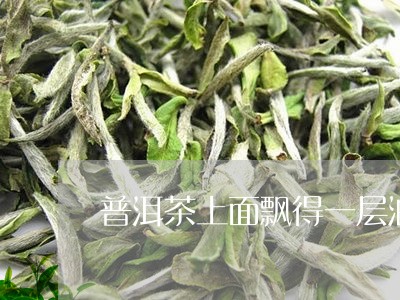 普洱茶上面飘得一层油/2023092602703