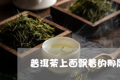 普洱茶上面飘着的那层/2023100767137