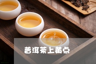 普洱茶上黄点/2023042593408