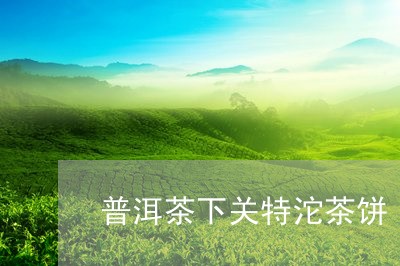 普洱茶下关特沱茶饼/2023112540573