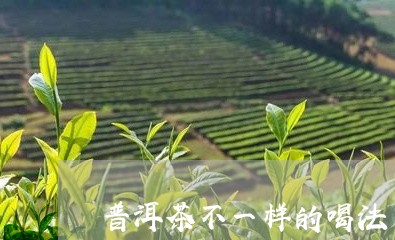 普洱茶不一样的喝法/2023120507160