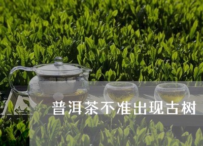 普洱茶不准出现古树/2023120591483