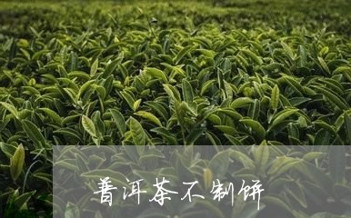 普洱茶不制饼/2023042892689