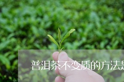 普洱茶不变质的方法是/2023121640472