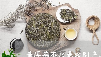 普洱茶不只是农副产品/2023061506381