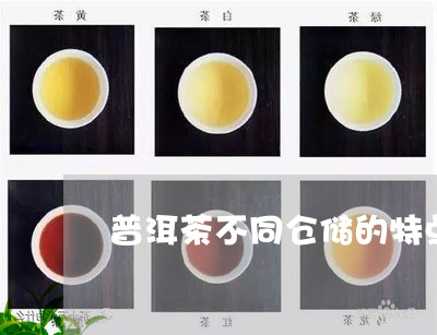 普洱茶不同仓储的特点/2023080161484