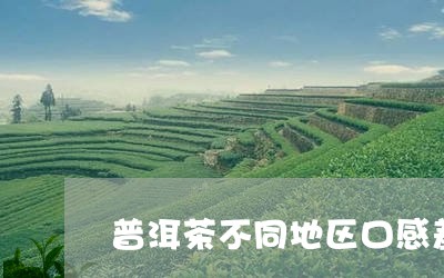 普洱茶不同地区口感差异/2023050724048