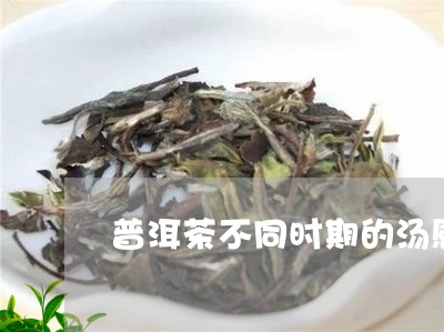 普洱茶不同时期的汤感/2023092654949