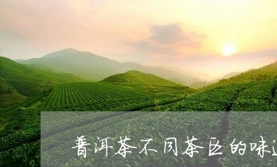 普洱茶不同茶区的味道/2023080353827