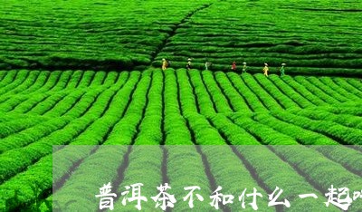 普洱茶不和什么一起吃/2023061508159