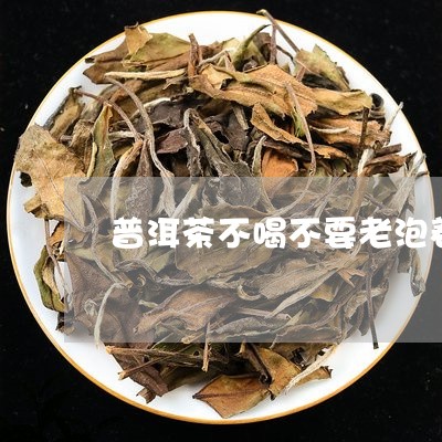 普洱茶不喝不要老泡着/2023062340515