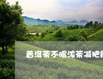 普洱茶不喝浓茶减肥能喝吗/2023082795826