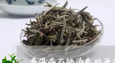 普洱茶不够清爽的原因/2023100644846