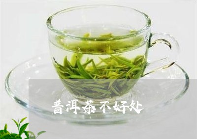 普洱茶不好处/2023042913